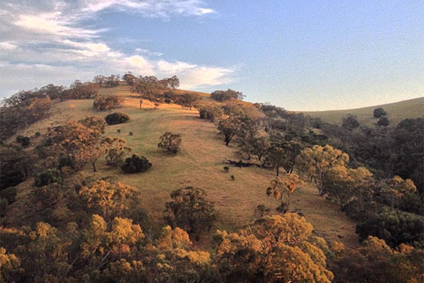 JeannieHo TN600x400pxQ8 2014 AusBarossa